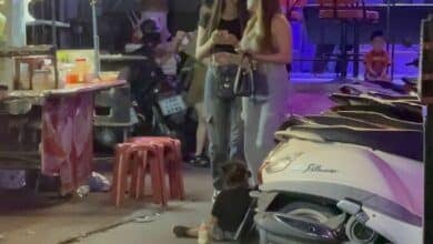 Tourists fume over persistent foreign beggars in Pattaya