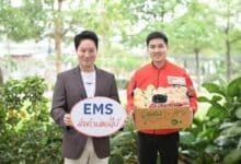 Thailand Post boosts fruit delivery with EMS service