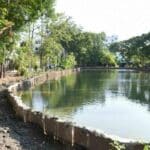 Bangkok revamps Bueng Si Kan Lake for flood control | Thaiger