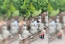 Indian tourists climb Buddha statue for mangoes in Ayutthaya (video)