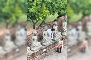 Indian tourists climb Buddha statue for mangoes in Ayutthaya (video)