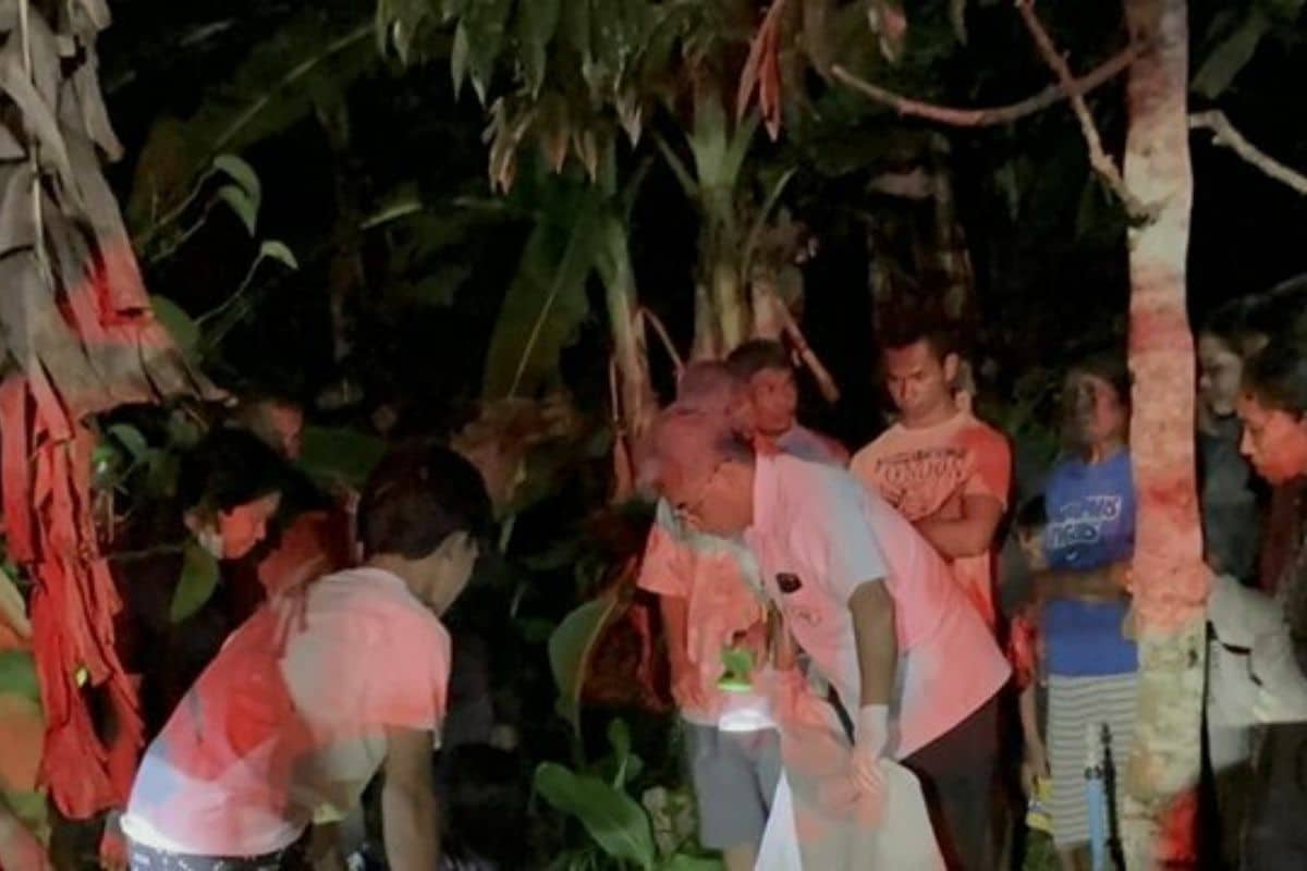 Prominent betel garden owner found dead in Phatthalung plantation