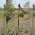 Boy injured by fishing spear gun on way to school | Thaiger