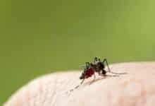 Thailand begins landmark dengue vaccine trial for children