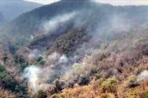 Chiang Mai declared disaster zone due to ongoing wildfires