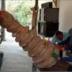 Ancient temple unearthed in Phayao during railway construction | Thaiger