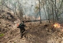 Wildfires force indefinite closure of North Thailand park