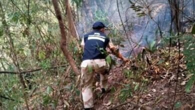 Toxic air terror: Nan goes into lockdown as smog chokes province