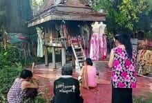 Uthai Thani locals flock to ancient tree for lottery luck