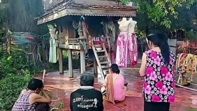 Uthai Thani locals flock to ancient tree for lottery luck