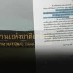 Park life: Thailand eases alcohol rules for officials, not tourists