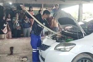 Lottery hiss-teria in Songkhla as king cobra slithers into family car