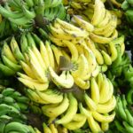 Thai farmers urged to go bananas for ripe returns | Thaiger
