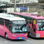 From pink to takeoff: Pattaya&#8217;s bus link to Bangkok takes off | Thaiger