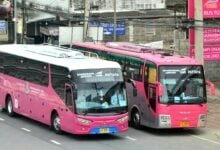 From pink to takeoff: Pattaya’s bus link to Bangkok takes off