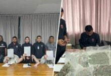 Dope busted: British nationals caught in Kho Samui cannabis caper