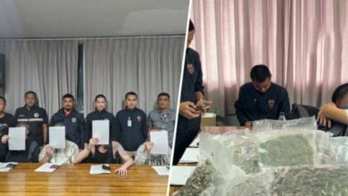 Dope busted: British nationals caught in Kho Samui cannabis caper