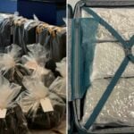 Busted bud: British man nabbed with cannabis at Krabi Airport | Thaiger