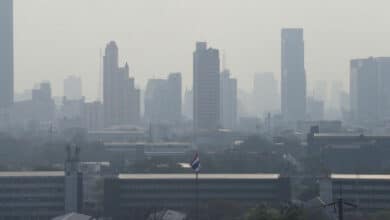 Carbon copy: Thailand trades up for a green offset with carbon credit plan