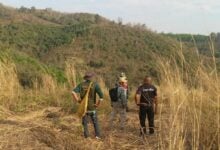 Wild elephant attack in Phetchabun province leaves one dead