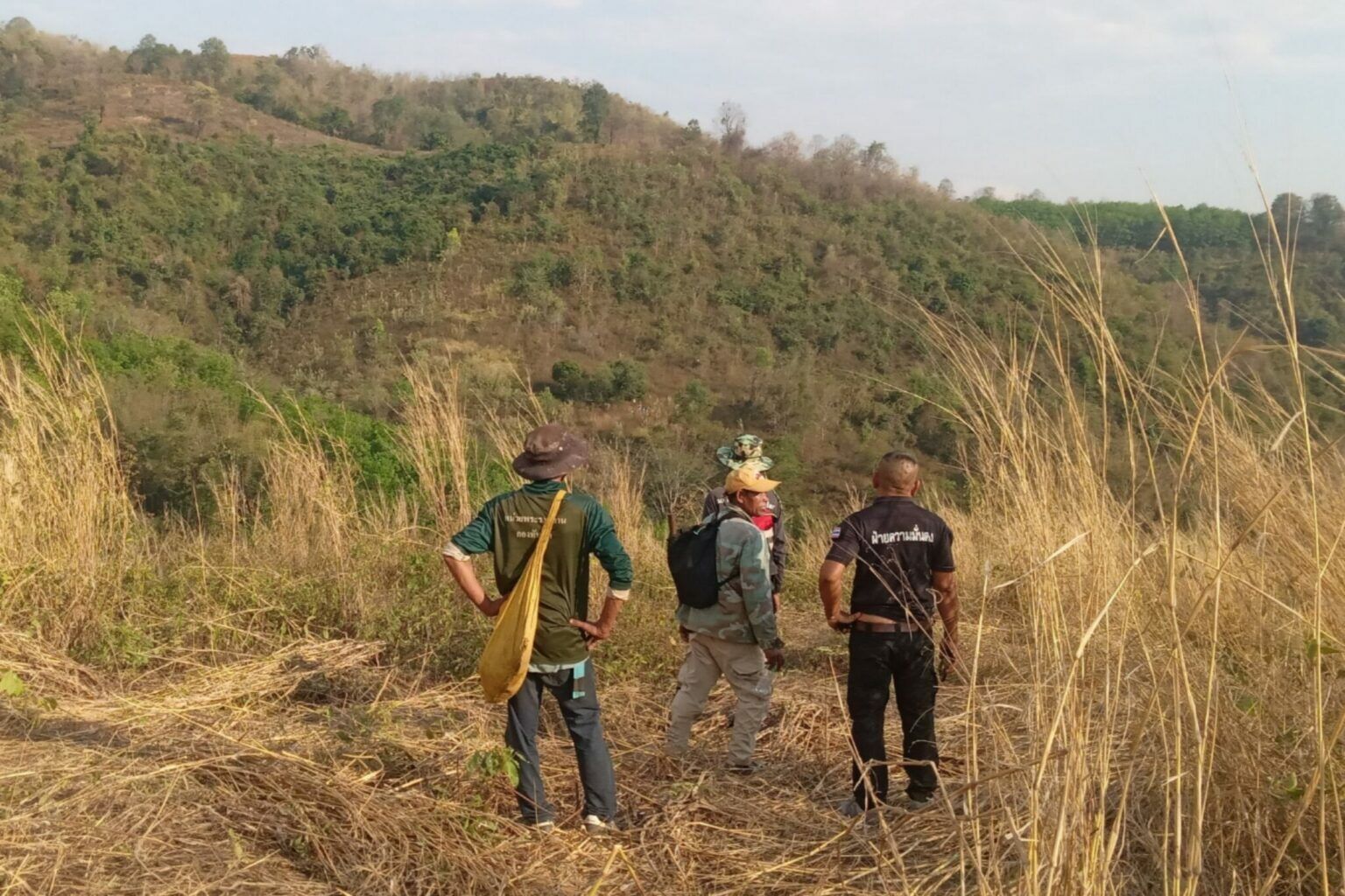 Wild elephant attack in Phetchabun province leaves one dead