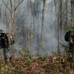 Forest fire officer in Phayao dies during patrol efforts | Thaiger