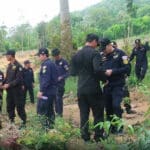 Illegal durian plantation found in Chanthaburi forest reserve | Thaiger