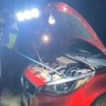 Dog alerts owners to 5-metre king cobra under car bonnet | Thaiger