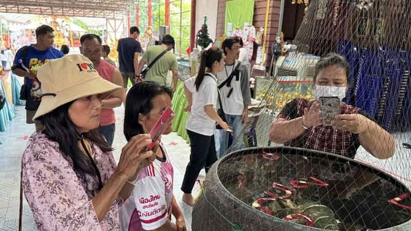 Ayutthaya hermitage draws crowds for blessings, lucky numbers | News by Thaiger