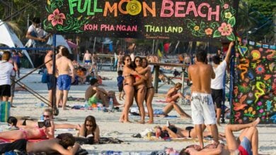 Frenchman’s magic mushroom mishap trip on Koh Pha Ngan