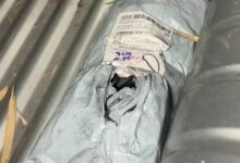 Thai man found dead in car after unusual online order