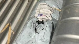 Thai man found dead in car after unusual online order