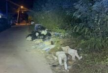 Police mistake mannequins for bodies in Chon Buri trash pile