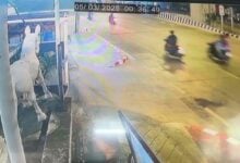 Motorcyclist mob brutally attacks Thai teen seeking refuge in store