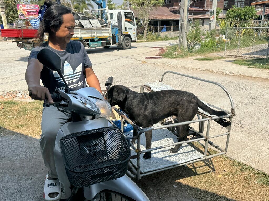 Rabies outbreak declared in Maha Sarakham's Wapi Pathum | News by Thaiger