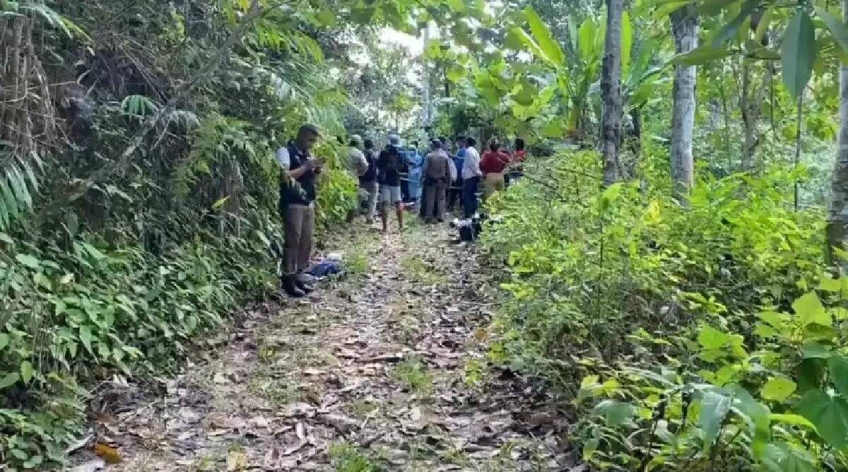 Rubber plantation worker shot dead in Nakhon Si Thammarat | News by Thaiger