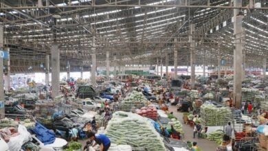 Pattaya punch-up: Teenage girl kicks off in wholesale showdown