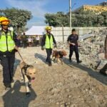 No ruff times for rescue dogs: Thailand muzzles donation rumours