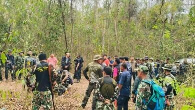 Villager killed by wild elephant in Chanthaburi forest tragedy