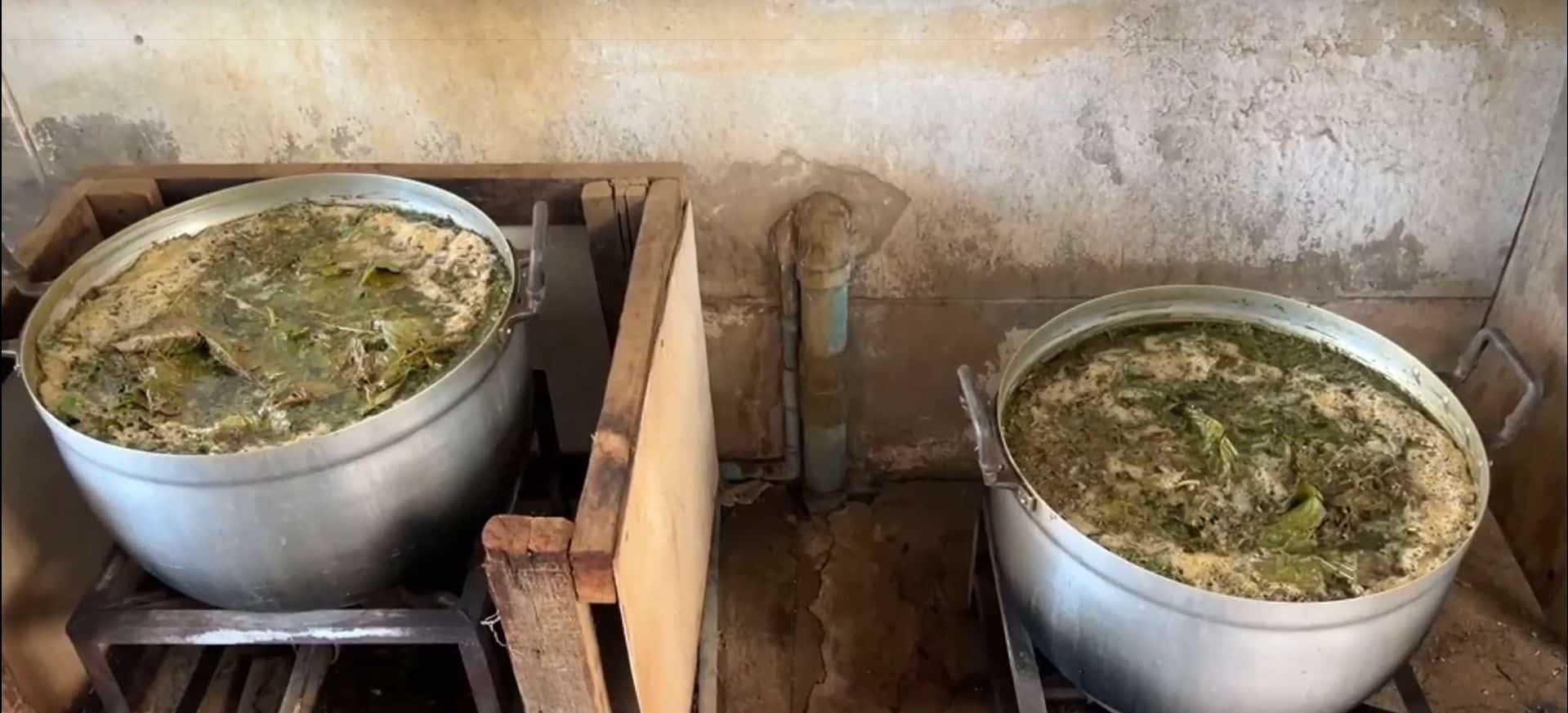 Grill and illegal thrills: Cops smoke out e-cig and kratom juice joint | News by Thaiger