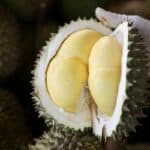 Experience the best of tropical fruits at Siam Paragon&#8217;s Tropical Fruit Parade | Thaiger