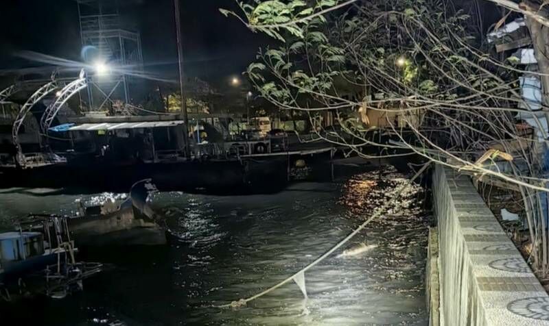 Sea tragedy: Dead dolphin found near Phuket sparks investigation | News by Thaiger