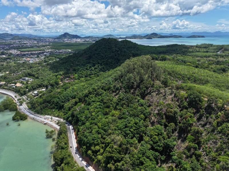 Officials probe illegal land grabs in Phuket wildlife zone | News by Thaiger