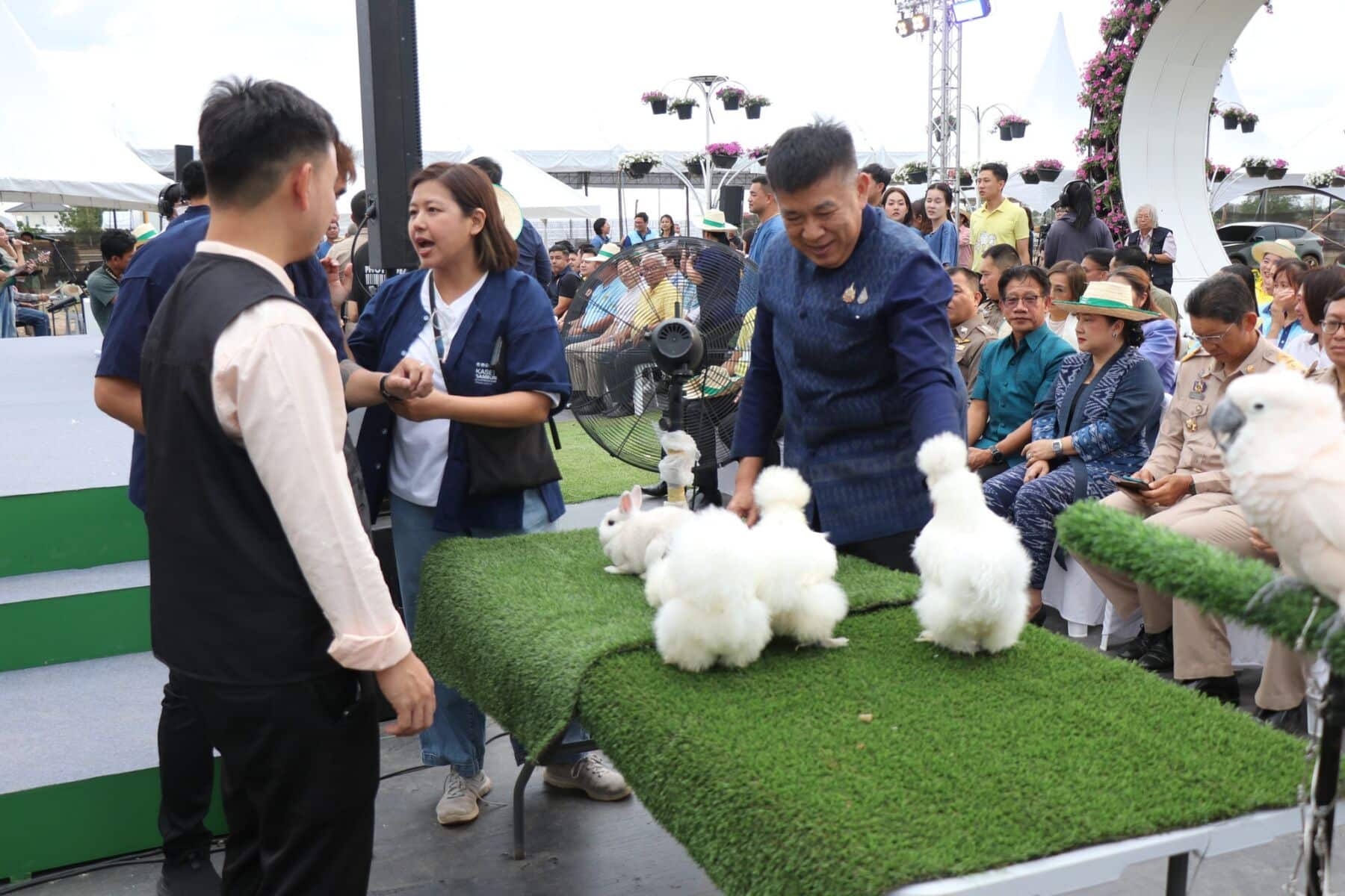 M81 motorway free for 10 days to boost Kanchanaburi fair | News by Thaiger