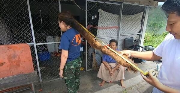 Trang woman claims uncut hair has supernatural powers (video) | News by Thaiger