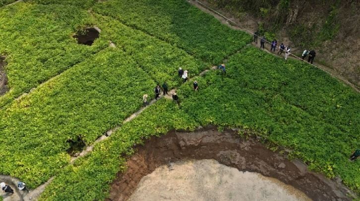 Warning: Sinkholes emerge in Mae Hong Son after earthquake | News by Thaiger