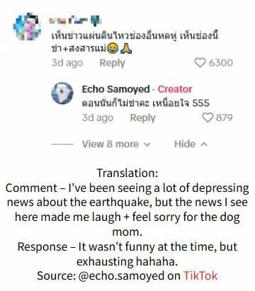 Dog chooses nap over escape during Bangkok earthquake (video) | News by Thaiger