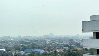 Chiang Mai struggles with severe air pollution from wildfires