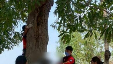 Thai man found dead after leaving home to work in Taiwan
