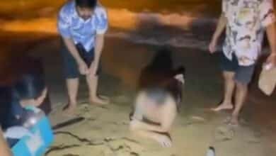 Booze cruise: Drunk foreign man rescued from drowning in Pattaya
